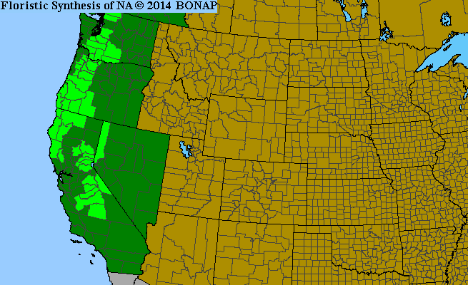 The range of Camassia leichtlinii